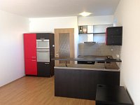 Pronájem bytu 2+kk s terasou a garážovým stáním, 56 m², Chlebovická, Praha 9  Letňany - IMG_1644.JPG