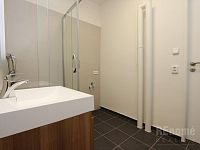 Kompletně zrekonstruovaný byt 1+1 (45 m2) v klidné lokalitě Braníku - 13 IMG_8485.JPG