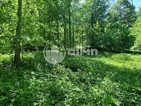 Prodej pozemků pro výstavbu, 1411 m2, Malá Morava - 1736265033-9315.jpg