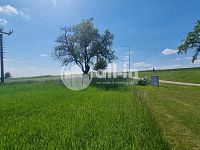 Prodej Stavebního pozemku 1000 m2, Bohdalice - 20250512_144904.jpg