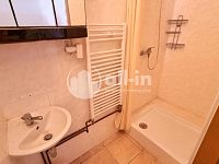 Prodej RD Habrovany s prostory pro podnikání, pozemek 2133 m2 - 20250416_115054.jpg