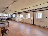 Prodej RD Habrovany s prostory pro podnikání, pozemek 2133 m2 - 20250416_115439.jpg