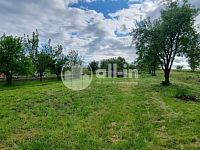 Prodej ovocného sadu o výměře 1062 m2 v Tištíně