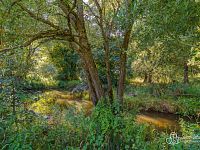 Prodej zemědělského pozemku 40 299 m² – Teplička - Foto 4