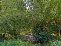 Prodej zemědělského pozemku 40 299 m² – Teplička - Foto 5