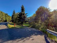 Prodej zemědělského pozemku 40 299 m² – Teplička - Foto 6