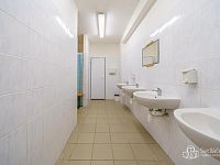 Výrobní / skladová hala – Krásno u Bečova (okres Sokolov) - Foto 19