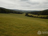 Prodej rozsáhlého souboru zemědělských pozemků – 119,74 ha, Nadlesí u Lokte, okres Sokolov - Foto 3