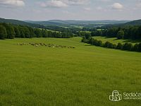 Prodej rozsáhlého souboru zemědělských pozemků – 119,74 ha, Nadlesí u Lokte, okres Sokolov - Foto 4