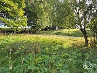 Prodej pozemků Čistá u Rovné - Foto 4