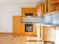 Byt 1+1 Nové Sedlo, ul. Revoluční - Foto 4