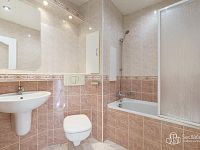 Byt 1+1 Nové Sedlo, ul. Revoluční - Foto 6