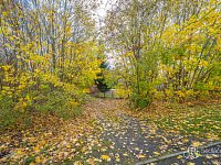 Stavební pozemky pro bydlení – Dolní Rychnov - Foto 13