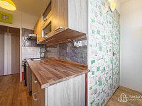 Prodej 3+1 Marie Majerové s balkonem - Foto 14