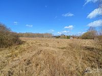 Prodej pozemku 20 262 m² – Anenská Ves u Krajkové - Foto 8