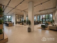 Reprezentativní komerční prostor 350 m² v Sokolově - Foto 2