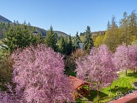 Prodej bytu 2+1, Kyselka  - Foto 9