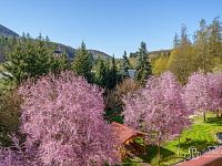 Prodej bytu 2+1, Kyselka  - Foto 9