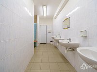 Prodej výrobní haly s možností rozšíření – Krásno u Bečova - Foto 19