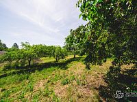 Rodinný dům ve stylu venkovské usedlosti | 9 287 m² pozemků, stodola a potenciál dalšího rozvoje - Foto 30