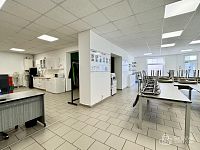 Pronájem komerčního prostoru, Sokolov - Šenvert - Foto 6