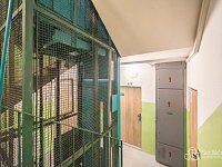 Prodej bytu 3+kk, 58 m², Plzeň – Doubravka, ul. Staniční - Foto 14
