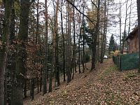 Prodej chaty v obci Doudleby - image15.jpeg