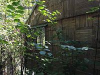 Prodej chaty v obci Doudleby - image16.jpeg