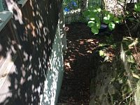 Prodej chaty v obci Doudleby - image24.jpeg