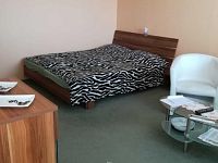 Pronájem bytu 1+1 v Bělé pod Bezdězem - 45a4a72c-9a14-4499-901c-394946392dad.jpg