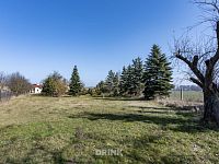 Pozemek v obci Obrubce - pozemek_obrubce_pronajem_mlada_boleslav (5).jpg
