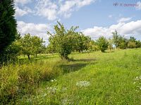 Prodej chaty 2+kk Kunovice, osada Stará Hora, celkem pozemek 3072 m2 - _LN_0948-HDR.jpg