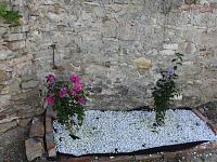 Prodej rodinného domu 3+kk, pozemek 403 m2, Černčice - IMG_0232.JPG