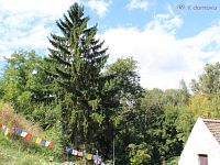 Prodej rodinného domu 3+kk, pozemek 403 m2, Černčice - IMG_0287.JPG