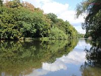 Prodej rodinného domu 3+kk, pozemek 403 m2, Černčice - IMG_0333.JPG