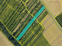 Prodej pozemků v chatové osadě v Kunovicích 3859 m2