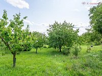 Prodej chaty 2+kk Kunovice, osada Stará Hora, celkem pozemek 3072 m2 - _LN_0919-HDR.jpg