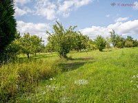 Prodej chaty 2+kk Kunovice, osada Stará Hora, celkem pozemek 3072 m2 - _LN_0948-HDR.jpg