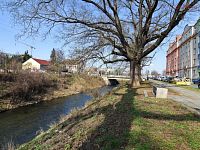 Prodej bytu 2+kk, 43,3 m2, lodžie, sklep, Zvěřinova, Brno – Černovice - DSC_0055.JPG