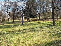 Prodej stavebního pozemku Záhorovice, 2.619 m2 - 20260325_110603.jpg