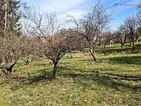 Prodej stavebního pozemku Záhorovice, 2.619 m2 - 20260325_110613.jpg