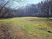 Prodej stavebního pozemku Záhorovice, 2.619 m2 - 20260325_110644.jpg