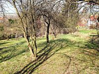 Prodej stavebního pozemku Záhorovice, 2.619 m2 - 20260325_110654.jpg