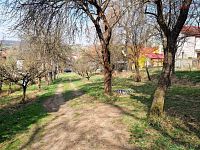 Prodej stavebního pozemku Záhorovice, 2.619 m2 - 20260325_111302.jpg