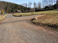 prodej stavebních pozemků 3982m2, Trutnov, MENŠÍ DEVELOPERSKÝ PROJEKT – 3 DOMY  TRUTNOV - IMG_0787.JPG