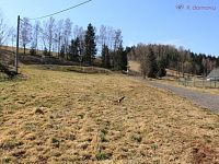 prodej stavebních pozemků 3982m2, Trutnov, MENŠÍ DEVELOPERSKÝ PROJEKT – 3 DOMY  TRUTNOV - IMG_0792.JPG