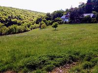 Prodej pozemku (4.147m2) se stavebním místem, Buchlovice - lokalita Zahrady - 04.jpg