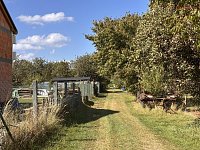 Prodej novostavby rodinného domu 5+kk se zahradou – Tršice, k.ú. Přestavlky - IMG_4415 (1).JPG