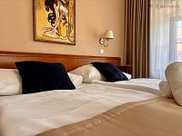 Pronájem Zámeckého hotelu Zlatý orel , okres Hranice - IMG_7954.jpg