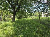 prodej rodinného domu s zahradou, Lapač, Žeravice - 20260616_113621.jpg